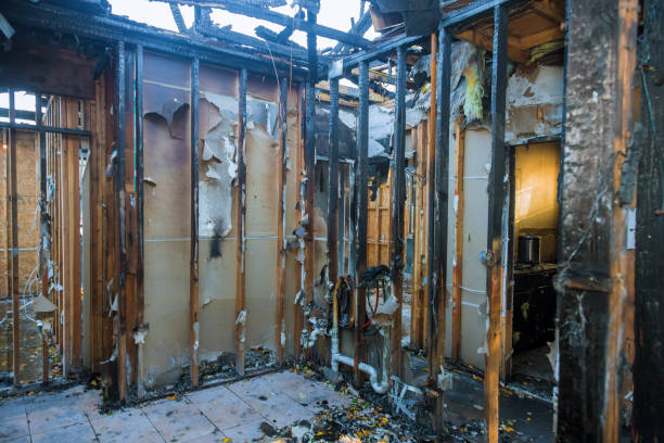 Professional Fire Damage Removal technician working in Yutan, NE